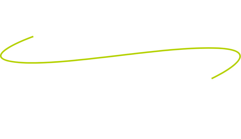 Logo Holzdesign by Vielstädte